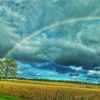 _chris_616